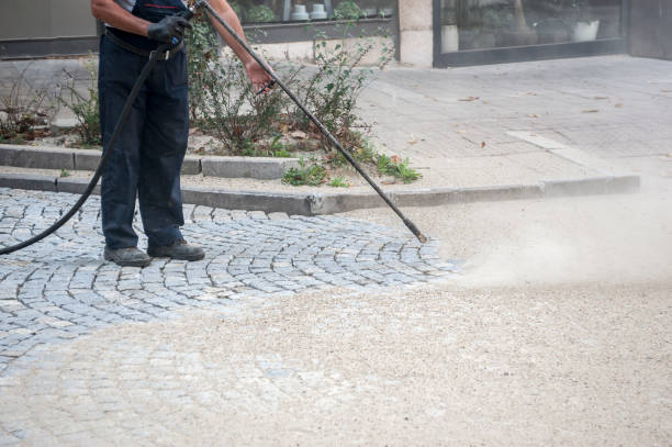 Best Animal Enclosure Cleaning  in Los Molinos, CA